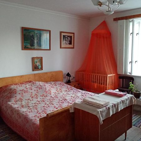 منزل الضيف Strekov  في Vinyl House المظهر الخارجي الصورة