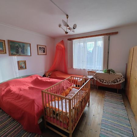 منزل الضيف Strekov  في Vinyl House المظهر الخارجي الصورة