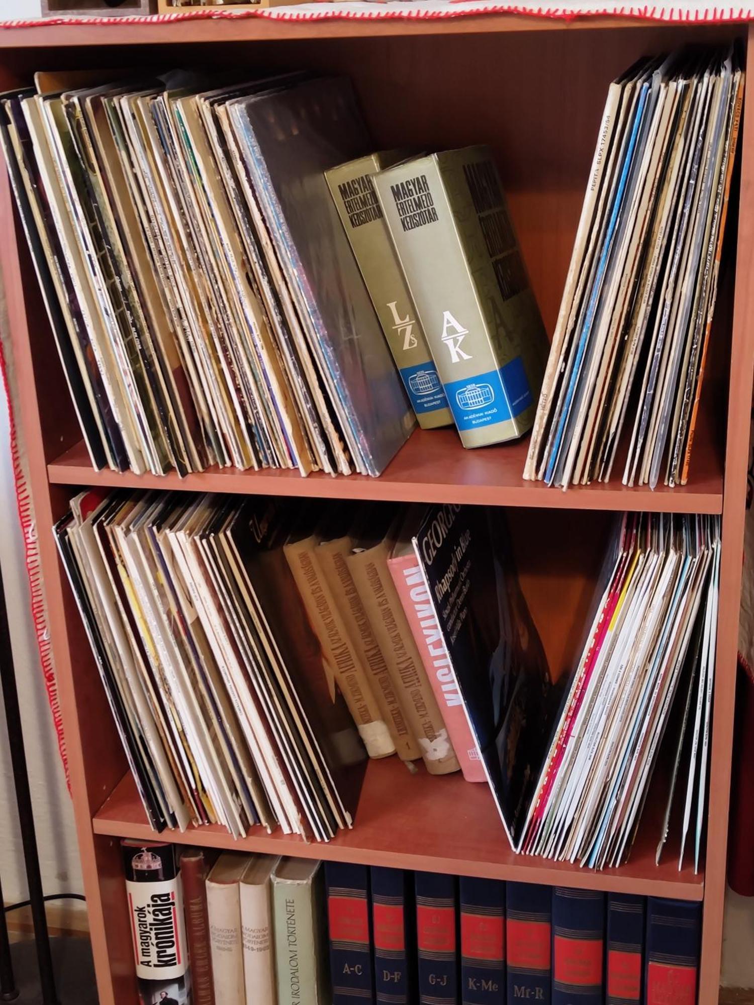 منزل الضيف Strekov  في Vinyl House المظهر الخارجي الصورة